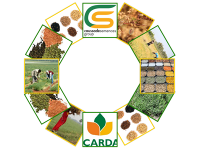 Collaboration between ICARDA and Caussade Semences Group (France)