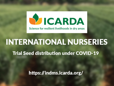 Order your trial seeds now!