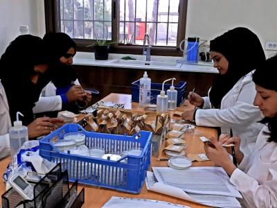 The immense success of ICARDA’s genebank can be attributed to its most precious resource: its staff. (Photo: Katrin Park/ICARDA)