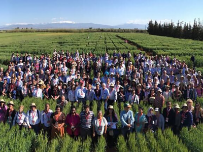 Over 350 experts gather for the Borlaug Global Rust Initiative workshop. Photo: Courtesy of Michael Baum.