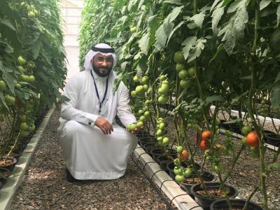 Twenty-five scientists discuss how farming operations can be better managed to help protect watersheds and improve soil health and water quality on the Arabian Peninsula
