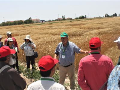 International scientists gather in Turkey for a traveling seminar to share the latest developments on winter wheat