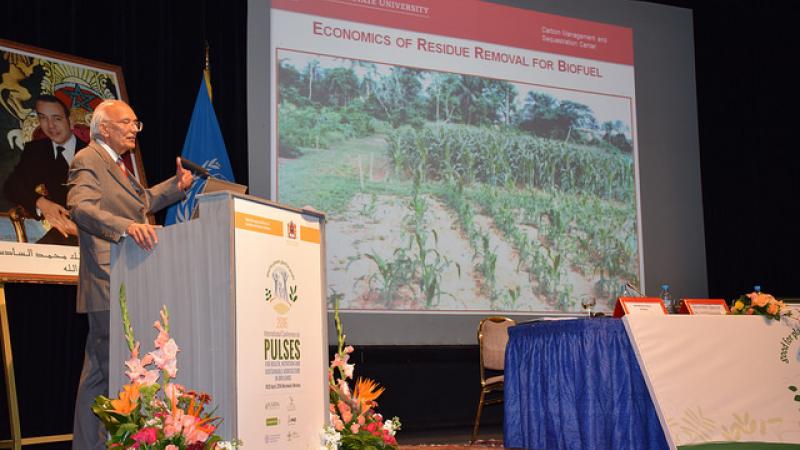 Rattan Lal, Professor of Soil Science at the Ohio State University, USA, expounds on pulses and soil connection