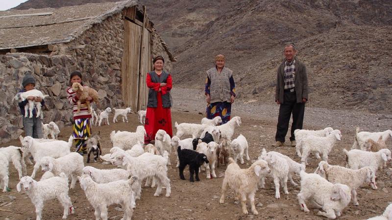An innovative community-based breeding project in Central Asia that has linked livestock producers and rural women to global yarn markets