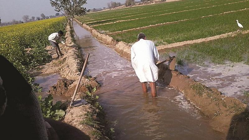 Flood irrigation in Egypt