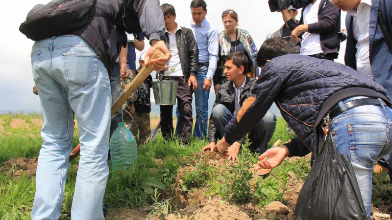 Pistachio planting on Earth Day in Uzbekistan