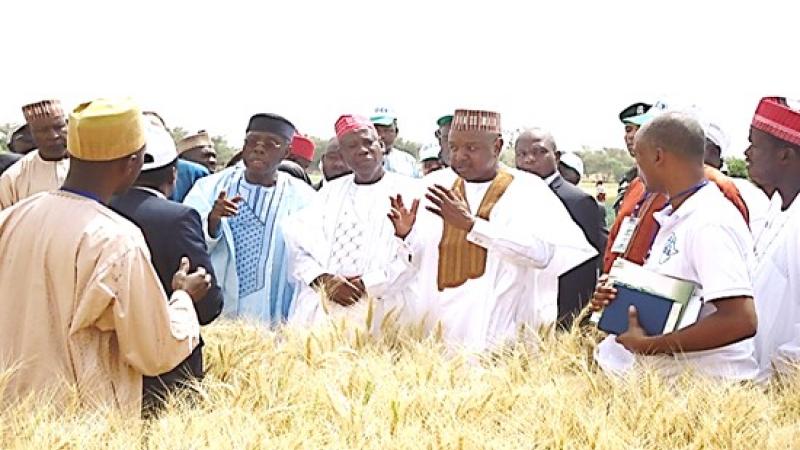 Minister for Agriculture and Rural Development and Chairman of Nigeria Senate Committee on Agriculture speaking to wheat farmers at Alkamawa
