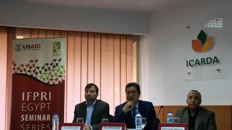 From left to right, Clemens Breisinger (IFPRI), Aly Abousabaa (ICARDA), Mahmoud Soliman (ARC).