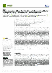Characterization of Leaf Rust Resistance in International Barley Germplasm Using Genome-Wide Association Studies