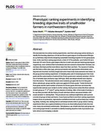 Phenotypic ranking experiments in identifying breeding objective traits of smallholder farmers in northwestern Ethiopia