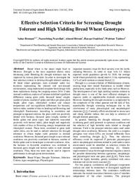 Effective Selection Criteria for Screening Drought Tolerant and High Yielding Bread Wheat Genotypes