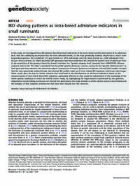 IBD sharing patterns as intra-breed admixture indicators in small ruminants