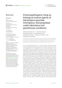 Entomopathogenic fungi as biological control agents of Dactylopius opuntiae (Hemiptera: Dactylopiidae) under laboratory and greenhouse conditions