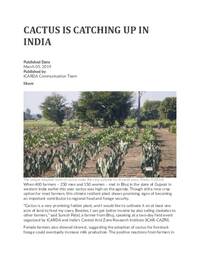 Cactus is catching up in India