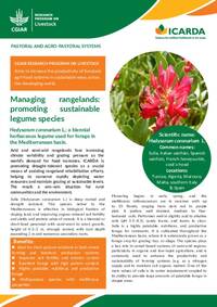 Managing rangelands: promoting sustainable legume species: Hedysarum coronarium L.: a biennial herbaceous legume used for forage in the Mediterranean basin