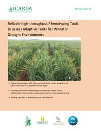 Reliable high-throughput Phenotyping Tools to assess Adaptive Traits for Wheat in  Drought Environments