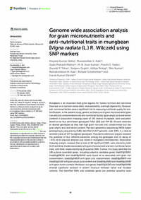 Genome wide association analysis for grain micronutrients and anti-nutritional traits in mungbean [Vigna radiata (L.) R. Wilczek] using SNP markers