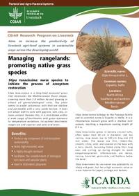 Managing rangelands: promoting native grass species: Stipa tenacissima: nurse species to initiate the process of ecosystem restoration