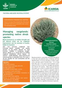 Managing rangelands: promoting native shrub species: Bassia prostrata (L.): A resilient drought and salt tolerant shrub use for rangeland improvement and for provision of quality fodder for livestock