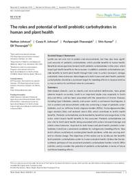 The roles and potential of lentil prebiotic carbohydrates in human and plant health