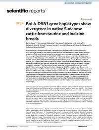 BoLA‑DRB3 gene haplotypes show divergence in native Sudanese cattle from taurine and indicine breeds