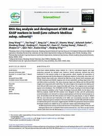 RNA-Seq analysis and development of SSR and KASP markers in lentil (Lens culinaris Medikus subsp. culinaris)
