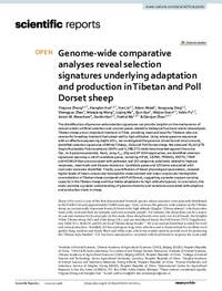 Genome‑wide comparative analyses reveal selection signatures underlying adaptation and production in Tibetan and Poll Dorset sheep
