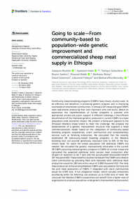 Going to scale—From community-based to population-wide genetic improvement and commercialized sheep meat supply in Ethiopia