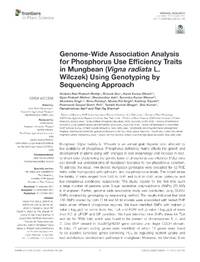 Genome wide association analysis for phosphorus use efficiency traits in mungbean (Vigna radiata L. Wilczek) using genotyping by sequencing approach
