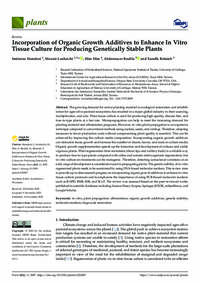 Incorporation of Organic Growth Additives to Enhance In Vitro Tissue Culture for Producing Genetically Stable Plants