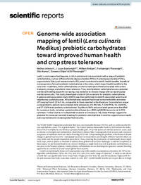 Genome-wide association mapping of lentil (Lens culinaris Medikus) prebiotic carbohydrates toward improved human health and crop stress tolerance