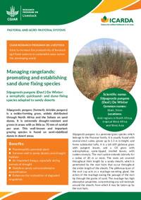 Managing rangelands: promoting and establishing sand dune fixing species: Stipagrostis pungens (Desf.) De Winter: a xerophytic quicksand- and dune-fixing species adapted to sandy deserts