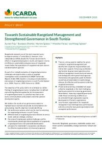 Towards Sustainable Rangeland Management and Strengthened Governance in South Tunisia