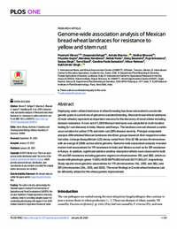 Genome-wide association analysis of Mexican bread wheat landraces for resistance to yellow and stem rust