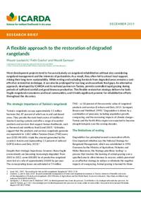A flexible approach to the restoration of degraded rangelands