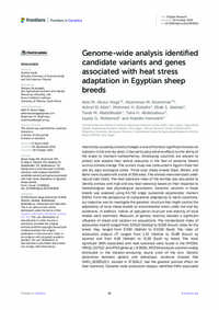 Genome-wide analysis identified candidate variants and genes associated with heat stress adaptation in Egyptian sheep breeds