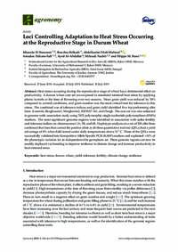 Loci Controlling Adaptation to Heat Stress Occurring at the Reproductive Stage in Durum Wheat
