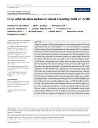 Crop wild relatives use in durum wheat breeding: drift or thrift?
