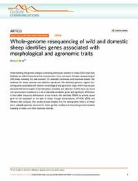 Whole-genome resequencing of wild and domestic sheep identifies genes associated with morphological and agronomic traits