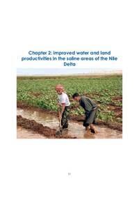 Improved water and land productivities in the saline areas of the Nile Delta