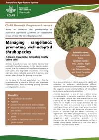 Managing rangelands: promoting well-adapted shrub species: Atriplex leucoclada: mitigating highly saline soils