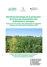 Bénéficiez davantage de la production de la fève par la protection des pollinisateurs sauvages