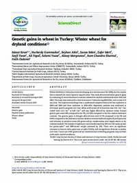 Genetic gains in wheat in Turkey: winter wheat for dryland conditions