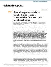 Genomic regions associated with herbicide tolerance in a worldwide faba bean (Vicia faba L.) collection