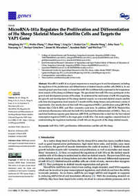 MicroRNA-181a Regulates the Proliferation and Differentiation of Hu Sheep Skeletal Muscle Satellite Cells and Targets the YAP1 Gene
