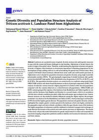 Genetic Diversity and Population Structure Analysis of Triticum aestivum L. Landrace Panel from Afghanistan