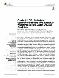 Combining QTL Analysis and Genomic Predictions for Four Durum Wheat Populations Under Drought Conditions