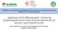 Application of the BBN approach: Enhancing rangeland governance under constraining land tenure systems: case of South Tunisia
