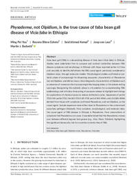 Physoderma, not Olpidium, is the true cause of faba bean gall disease of Vicia faba in Ethiopia