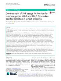 Development of SNP assays for hessian fly response genes, Hfr-1 and Hfr-2, for marker-assisted selection in wheat breeding